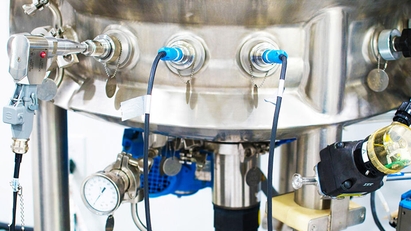 Raman probe in situ in a stainless steel bioreactor